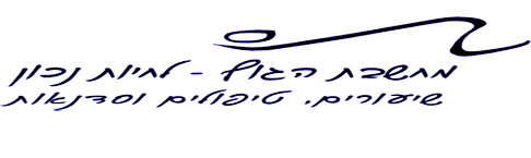 דגנית לויתן - מחשבת הגוף לחיות נכון