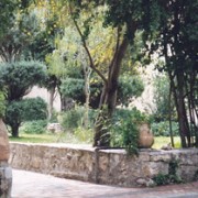 סדנא עין כרם- ברוח מחשבת הגוף